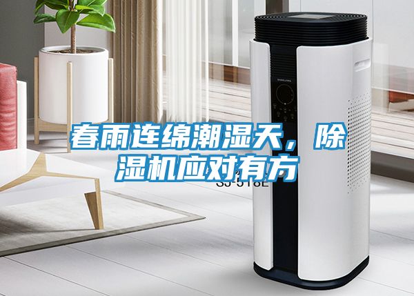 春雨连绵潮湿天,除湿机应对有方