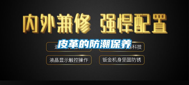 皮革的防潮保养