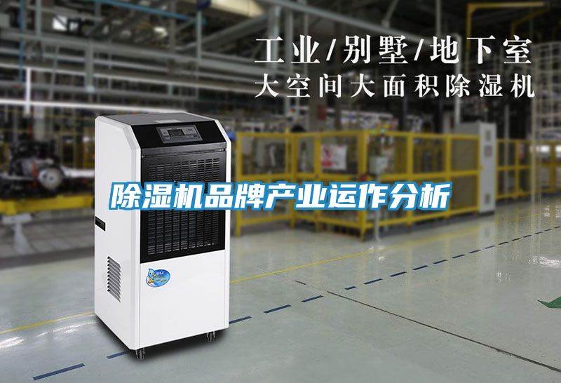 除湿机品牌产业运作分析
