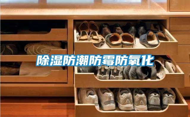 除湿防潮防霉防氧化
