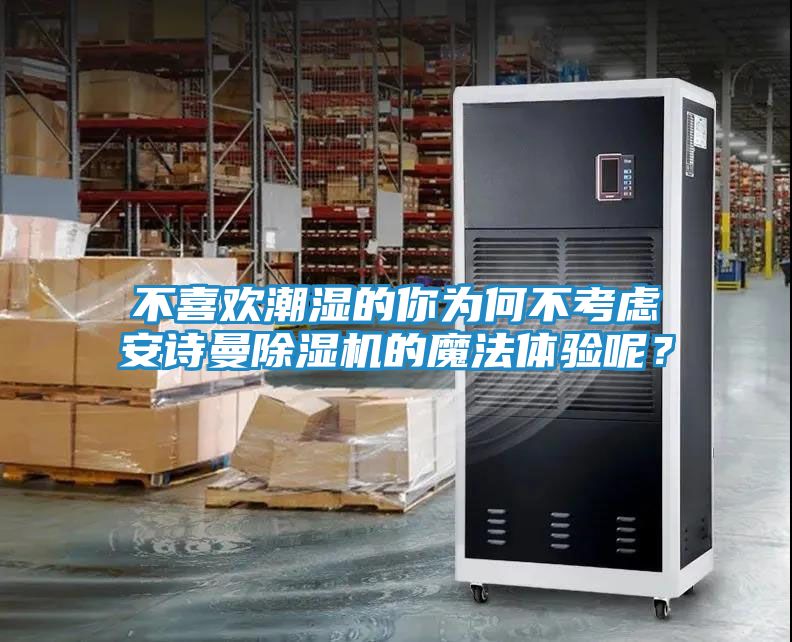 不喜欢潮湿的你为何不考虑安诗曼除湿机的魔法体验呢？