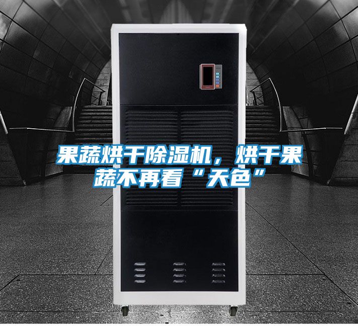 果蔬烘干除湿机，烘干果蔬不再看“天色”