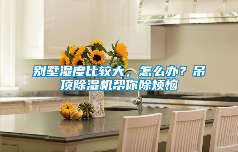 别墅湿度比较大，怎么办？吊顶除湿机帮你除烦恼