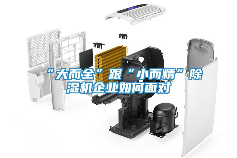 “大而全”跟“小而精”除湿机企业如何面对