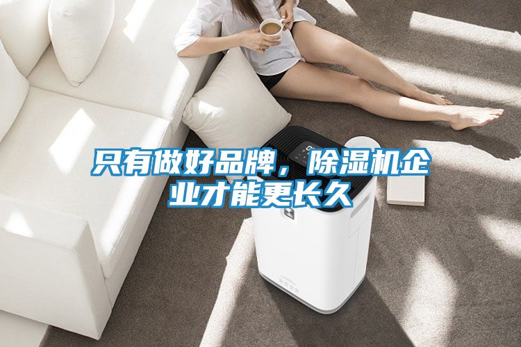 只有做好品牌，除湿机企业才能更长久