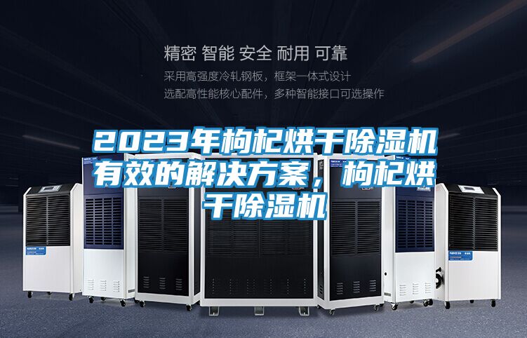 2023年枸杞烘干除湿机有效的解决方案，枸杞烘干除湿机