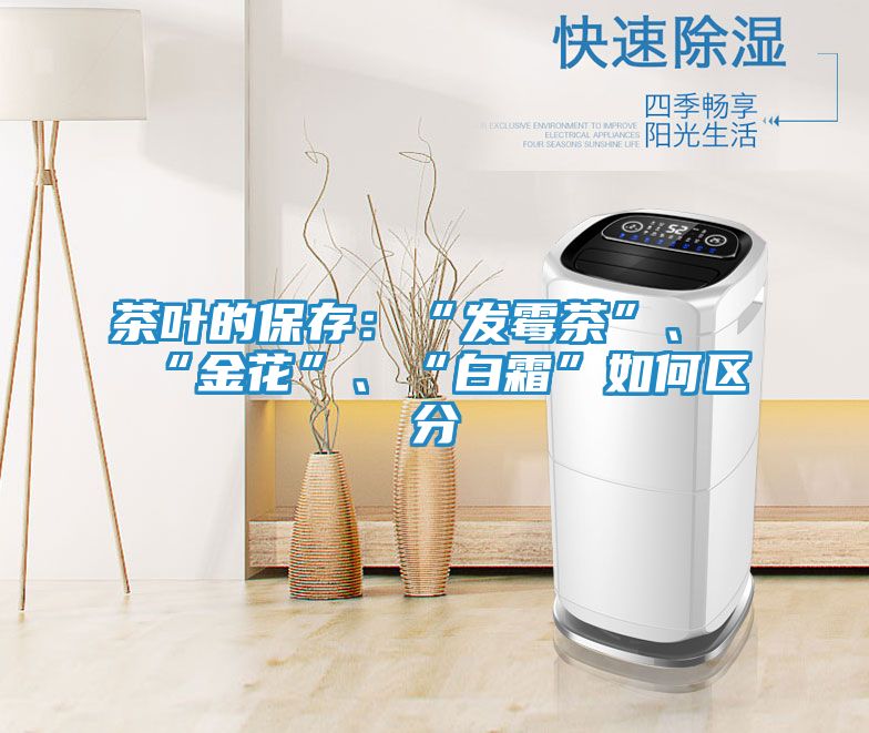 茶叶的保存：“发霉茶”、“金花”、“白霜”如何区分