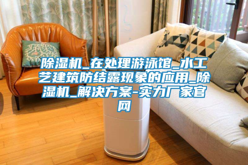 除湿机_在处理游泳馆_水工艺建筑防结露现象的应用_除湿机_解决方案-实力厂家官网