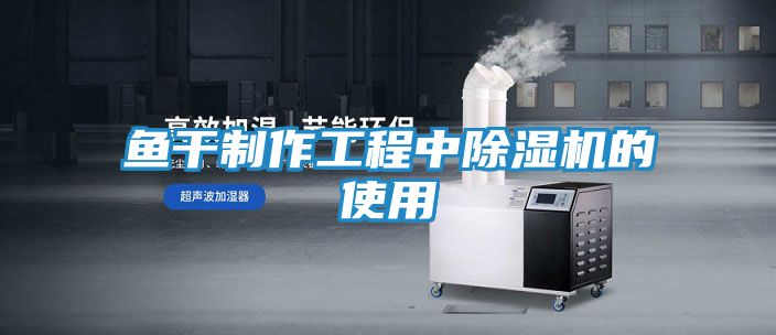 鱼干制作工程中除湿机的使用