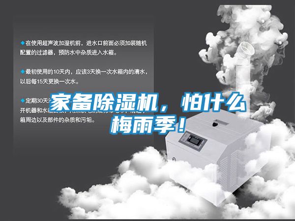 家备除湿机，怕什么梅雨季！
