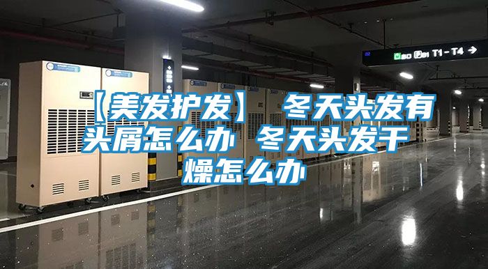 【美发护发】→冬天头发有头屑怎么办 冬天头发干燥怎么办