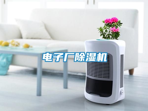 电子厂除湿机