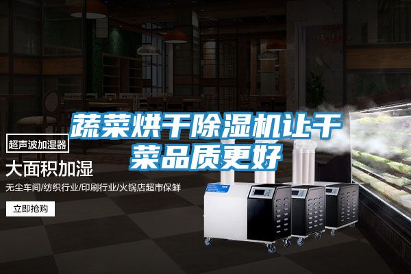 蔬菜烘干除湿机让干菜品质更好