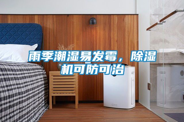 雨季潮湿易发霉，除湿机可防可治