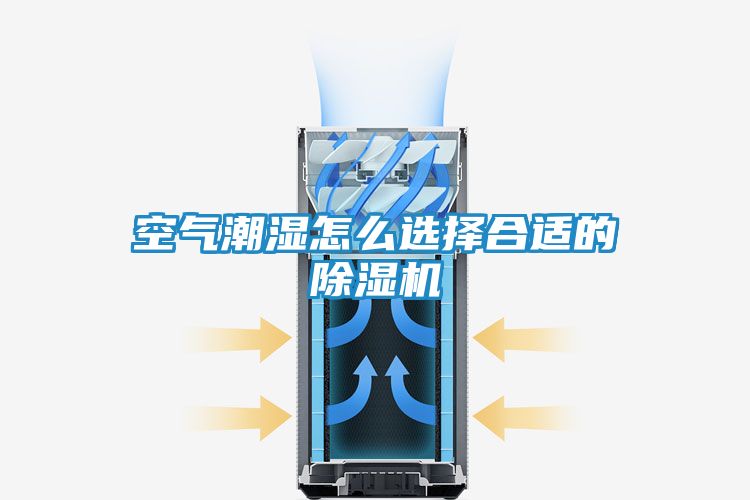 空气潮湿怎么选择合适的除湿机