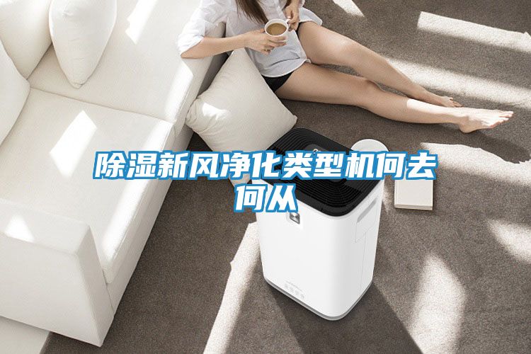 除湿新风净化类型机何去何从