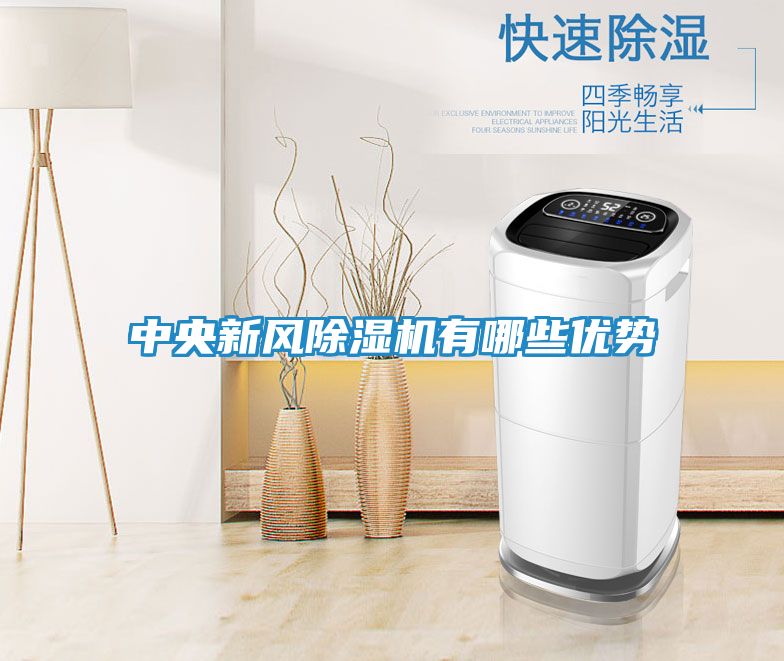 中央新风除湿机有哪些优势