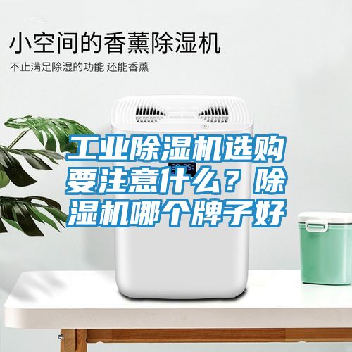 工业除湿机选购要注意什么?除湿机哪个牌子好