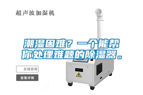 潮湿困难?一个能帮你处理难题的除湿器。