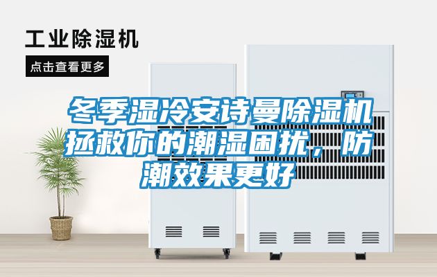 冬季湿冷安诗曼除湿机拯救你的潮湿困扰，防潮效果更好