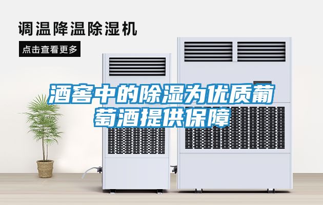 酒窖中的除湿为优质葡萄酒提供保障