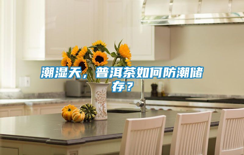 潮湿天，普洱茶如何防潮储存？