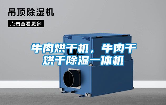 牛肉烘干机,牛肉干烘干除湿一体机