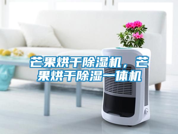 芒果烘干除湿机，芒果烘干除湿一体机