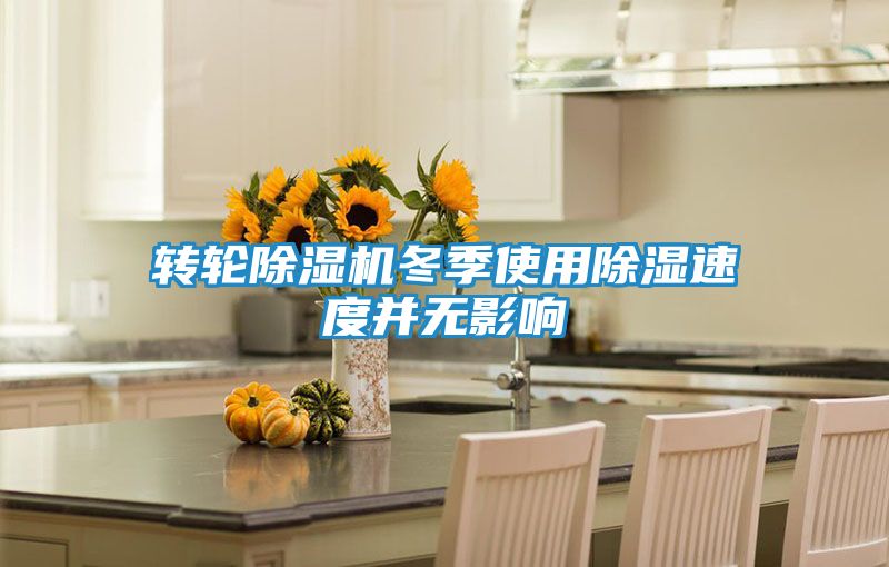 转轮除湿机冬季使用除湿速度并无影响