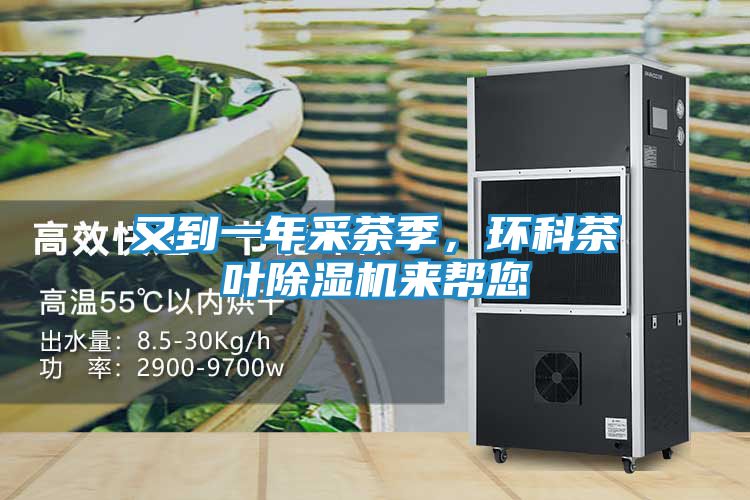 又到一年采茶季，环科茶叶除湿机来帮您