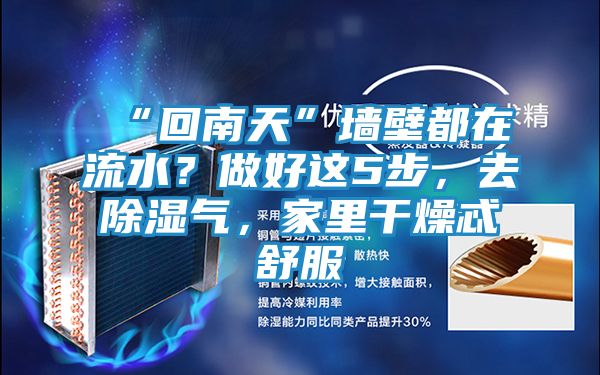 “回南天”墙壁都在流水?做好这5步,去除湿气,家里干燥忒舒服