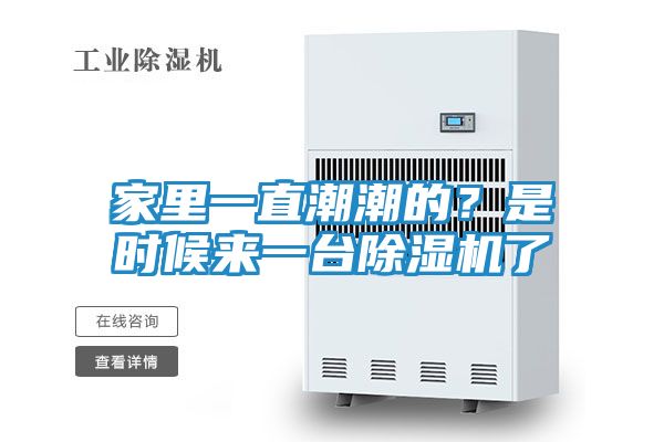 家里一直潮潮的？是时候来一台除湿机了