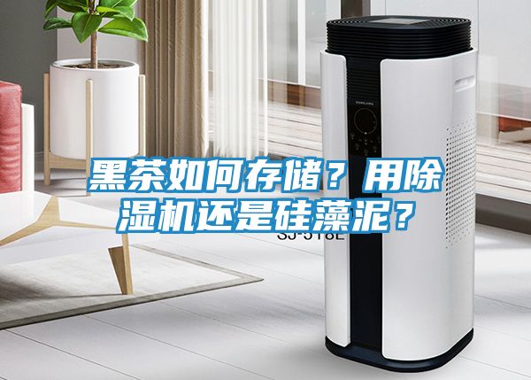 黑茶如何存储？用除湿机还是硅藻泥？
