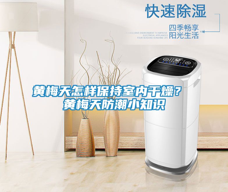 黄梅天怎样保持室内干燥? 黄梅天防潮小知识