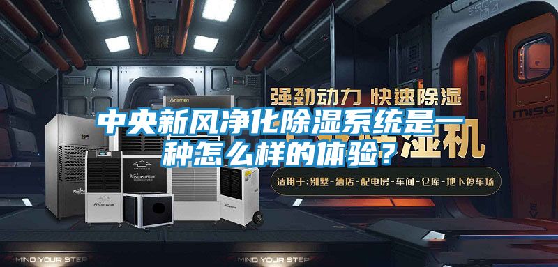 中央新风净化除湿系统是一种怎么样的体验？