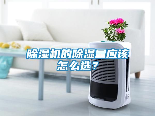 除湿机的除湿量应该怎么选？