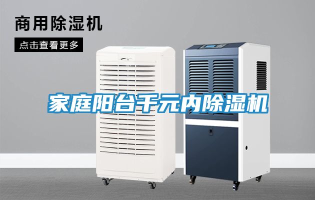 家庭阳台千元内除湿机