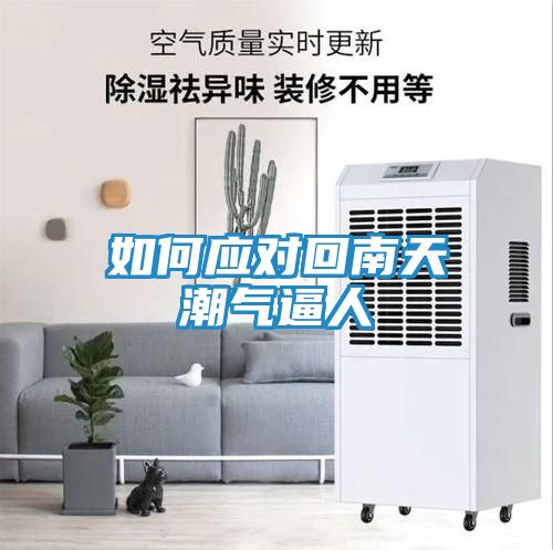 如何应对回南天潮气逼人