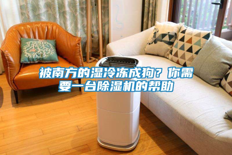 被南方的湿冷冻成狗？你需要一台除湿机的帮助