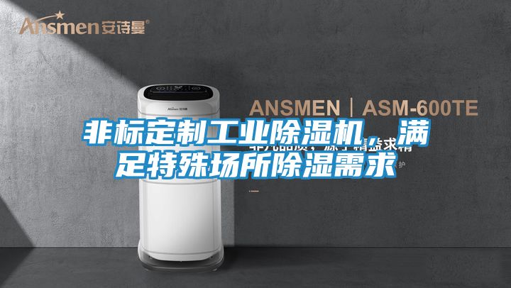 非标定制工业除湿机，满足特殊场所除湿需求
