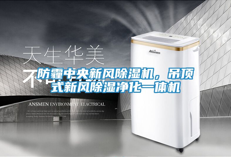 防霾中央新风除湿机，吊顶式新风除湿净化一体机