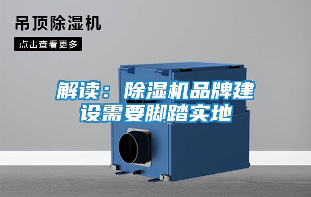 解读：除湿机品牌建设需要脚踏实地