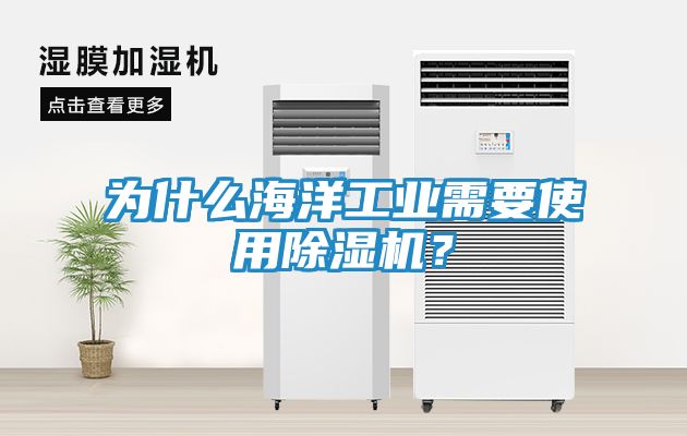 为什么海洋工业需要使用除湿机？