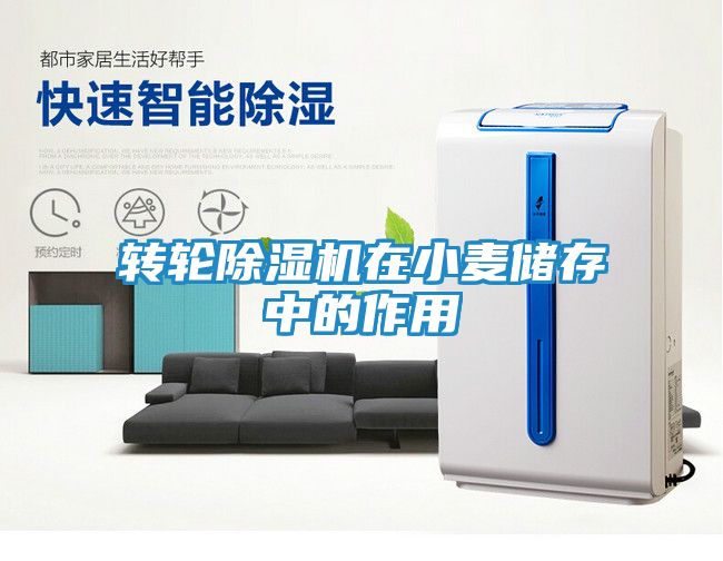 转轮除湿机在小麦储存中的作用