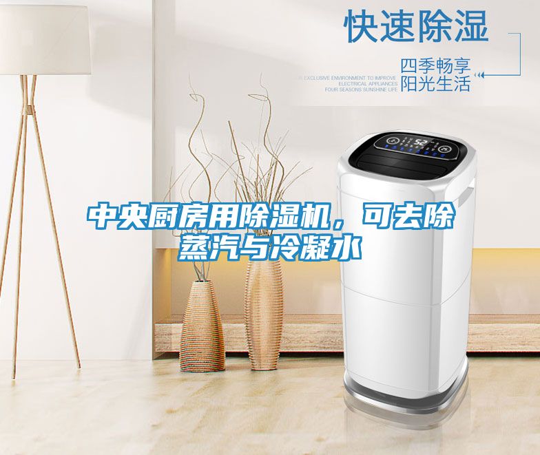 中央厨房用除湿机，可去除蒸汽与冷凝水