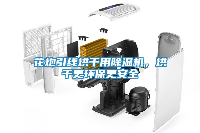 花炮引线烘干用除湿机，烘干更环保更安全