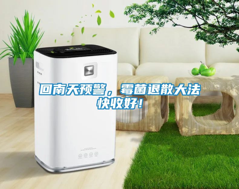 回南天预警，霉菌退散大法快收好！