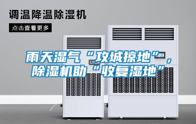 雨天湿气“攻城掠地”，除湿机助“收复湿地”