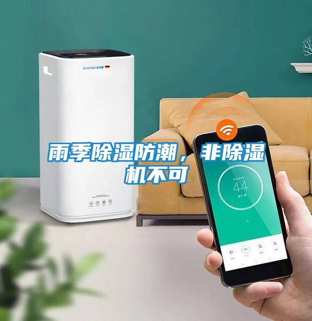 雨季除湿防潮，非除湿机不可
