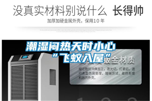 潮湿闷热天时小心“飞蚁入屋”